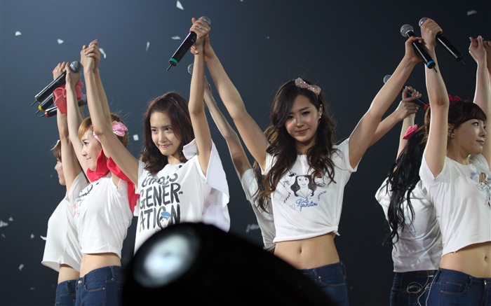 Girls Generation concert wallpaper (2) #4