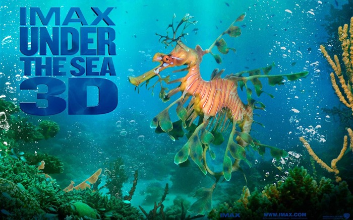 Under the Sea 3D HD Wallpaper #50