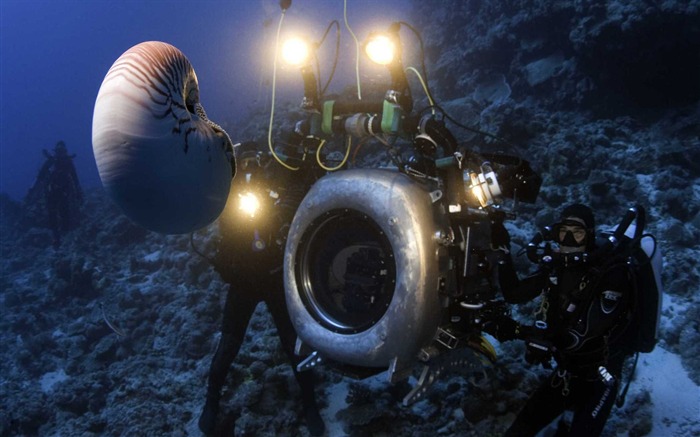 Under the Sea 3D 海底世界3D 高清壁紙 #22