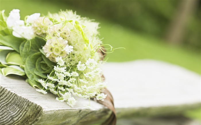 Svatby a květiny tapety (2) #19