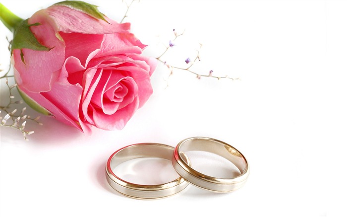 Weddings and wedding ring wallpaper (2) #12