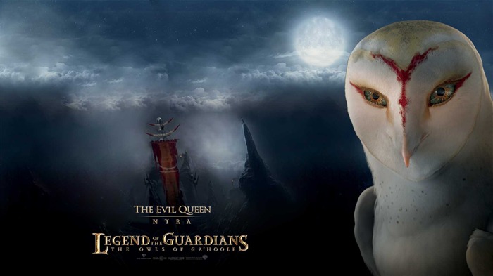 Legend of the Guardians: The Owls of Ga'Hoole 守卫者传奇(一)14