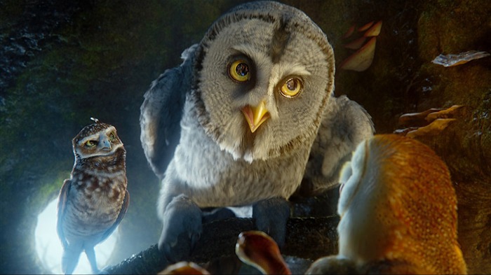 Legend of the Guardians: The Owls of Ga'Hoole 守卫者传奇(二)29