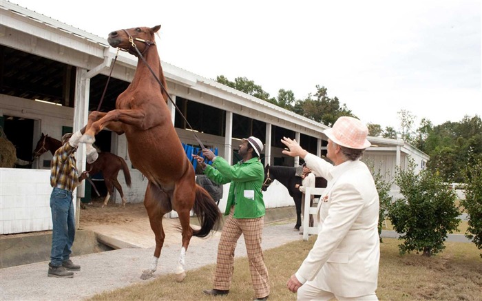 Secretariat 一代骄马 高清壁纸(二)27