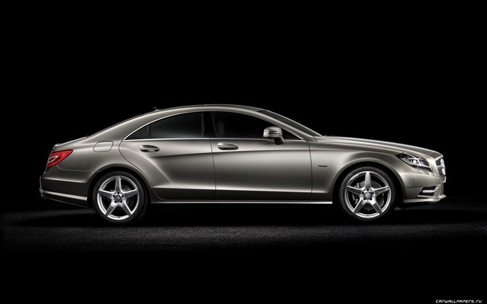Mercedes-Benz CLS-class - 2010 奔馳 #3