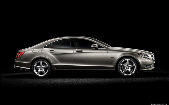 Mercedes-Benz Clase CLS - 2010 fondos de escritorio de alta definición #3