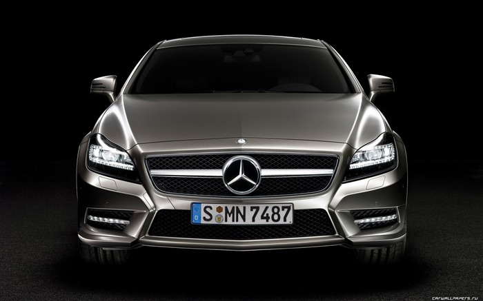 Mercedes-Benz CLS-class - 2010 奔驰8