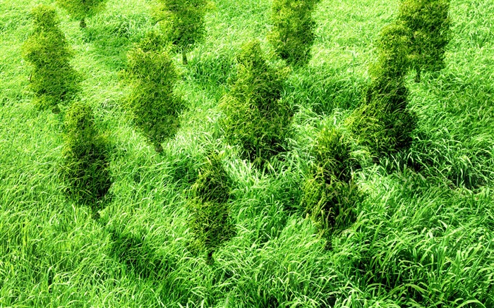 Green and Natural Wallpaper (4) #13