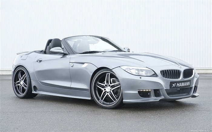 Hamann BMW Z4 E89 - 2010 fondos de escritorio de alta definición #4