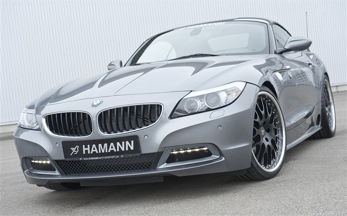 Hamann BMW Z4 E89 - 2010 fonds d'écran HD #8
