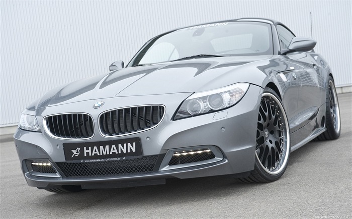 Hamann BMW Z4 E89 - 2010 HD tapetu #8