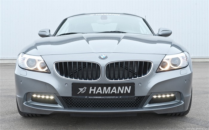 Hamann BMW Z4 E89 - 2010 寶馬 #15