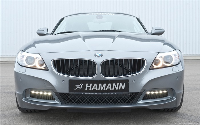 Hamann BMW Z4 E89 - 2010 HD Wallpaper #15