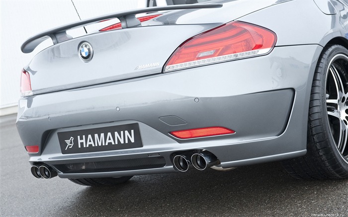 Hamann BMW Z4 E89 - 2010 HD tapetu #19