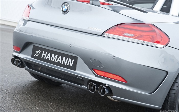 Hamann BMW Z4 E89 - 2010 寶馬 #20