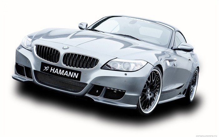 Hamann BMW Z4 E89 - 2010 宝马23