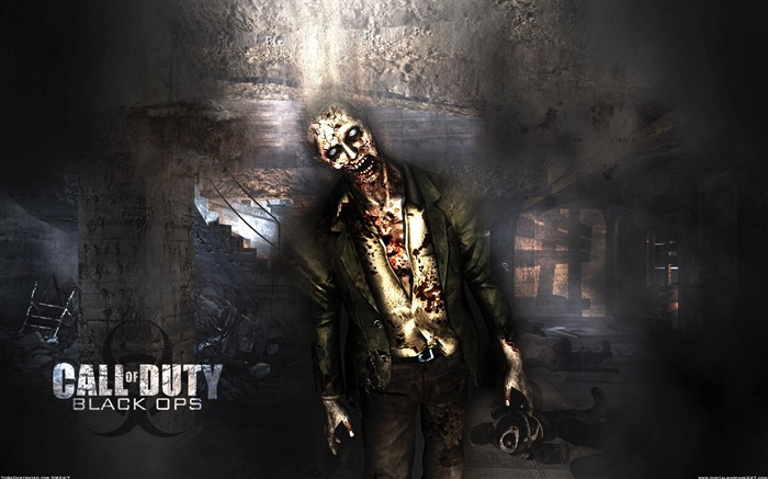 Call of Duty: Black Ops HD Wallpaper (2) #5