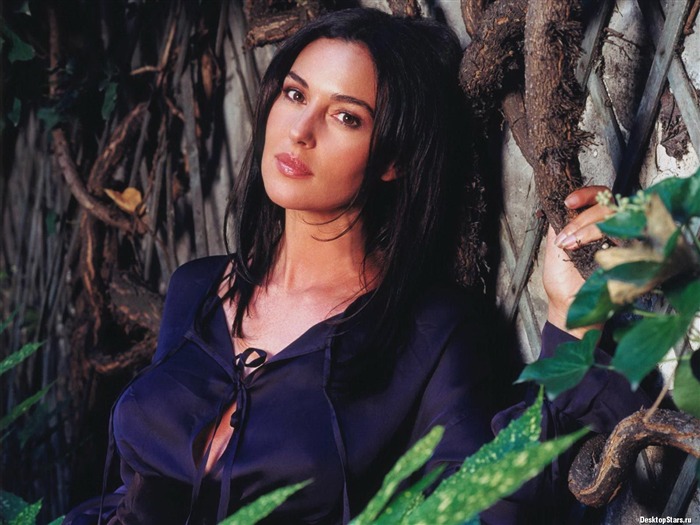 Monica Bellucci 莫妮卡·貝魯奇 美女壁紙 #25