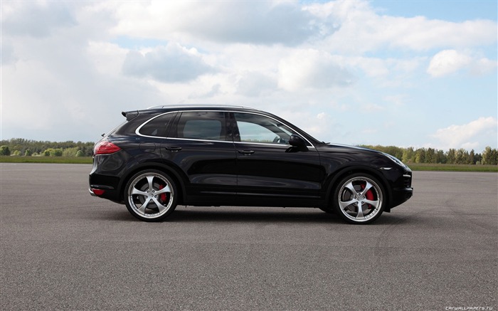 TechArt Porsche Cayenne Individualization - 2010 保时捷11