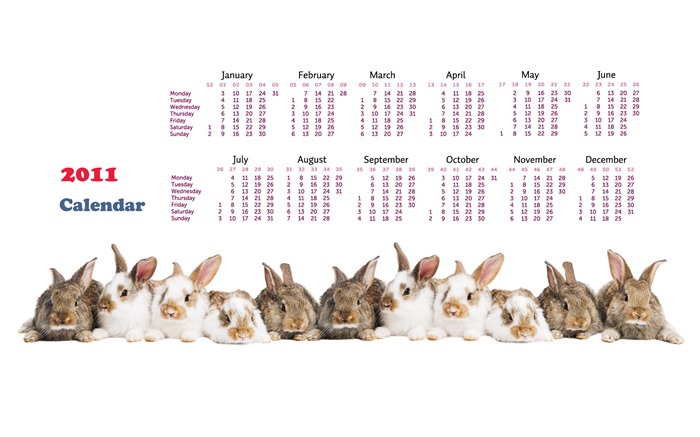 Année du papier peint Rabbit calendrier 2011 (1) #15