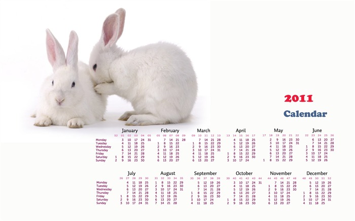 Year of the Rabbit 2011 calendar wallpaper (1) #17
