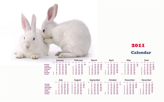 Jahr des Hasen Kalender 2011 Wallpaper (1) #17