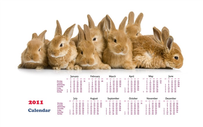 Jahr des Hasen Kalender 2011 Wallpaper (1) #20