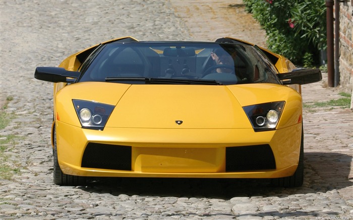 Lamborghini Murcielago Roadster - 2004 兰博基尼1