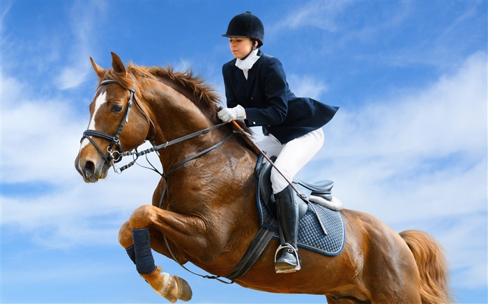 Super horse photo wallpaper (1) #4