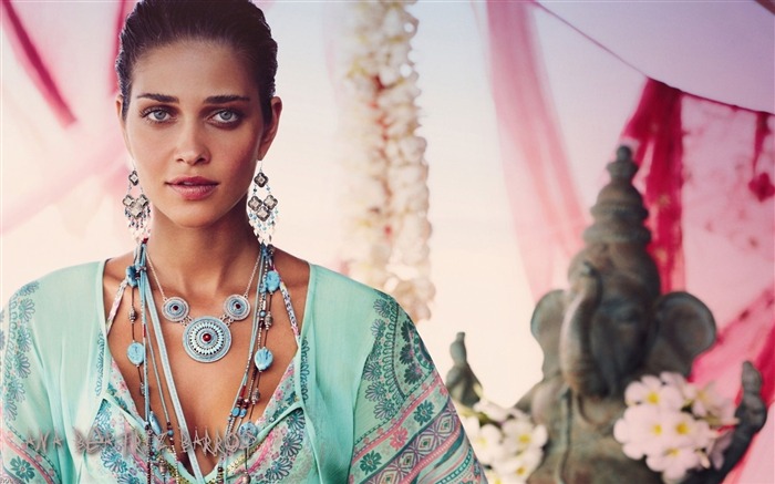 Ana Beatriz Barros 安娜·貝琪茲·巴羅斯 美女壁紙 #8