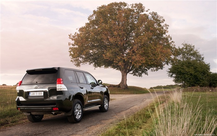 Toyota Land Cruiser Prado - 2009 丰田24