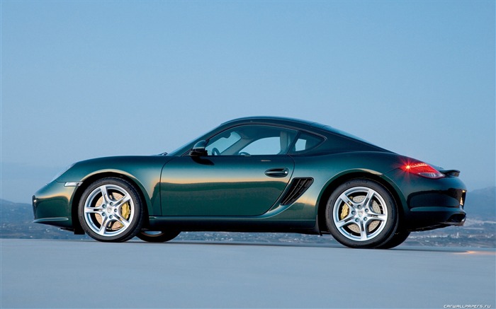 Porsche Cayman S - 2009 HD tapetu #14