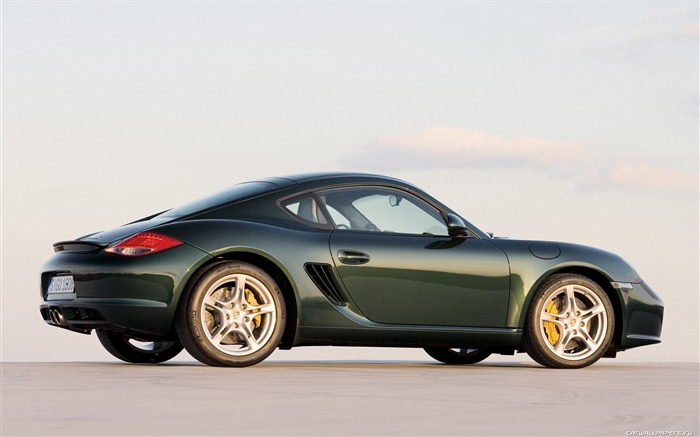 Porsche Cayman S - 2009 HD tapetu #15