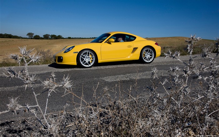 Porsche Cayman S - 2009 HD Wallpaper #18