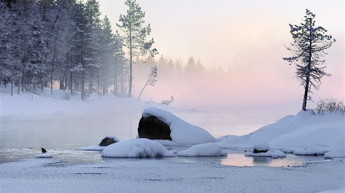 Nieve fondo de pantalla ancha (3) #20