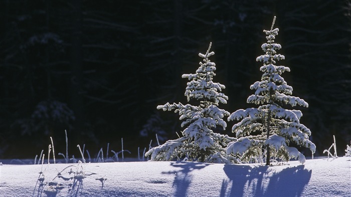 Fond d'écran panoramique de neige (4) #8