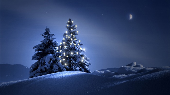 Snow Widescreen-Wallpaper (4) #10