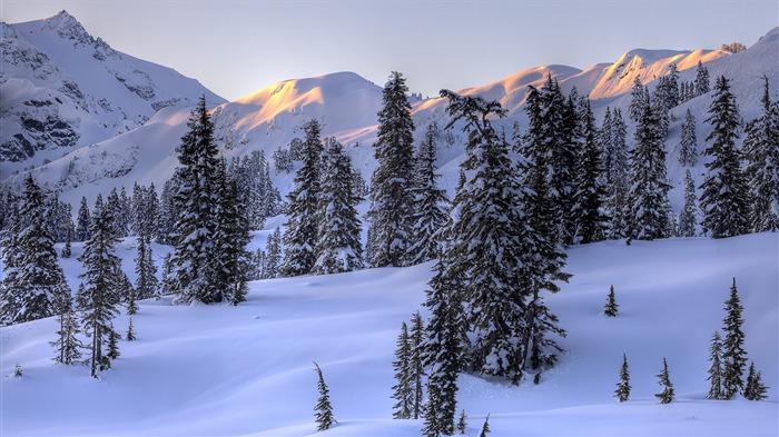 宽屏雪景 壁纸(四)14