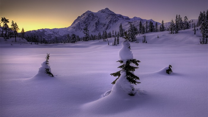 Snow Widescreen-Wallpaper (4) #18