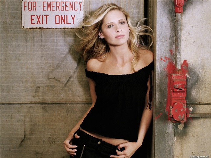 Sarah Michelle Gellar beautiful wallpaper (2) #35