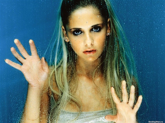 Sarah Michelle Gellar 莎拉·米歇爾·蓋拉 美女壁紙(二) #41