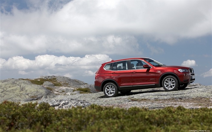 BMW X3 xDrive20d - 2010 (2) #28