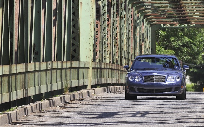 Bentley Continental Flying Spur Speed - 2008 宾利8