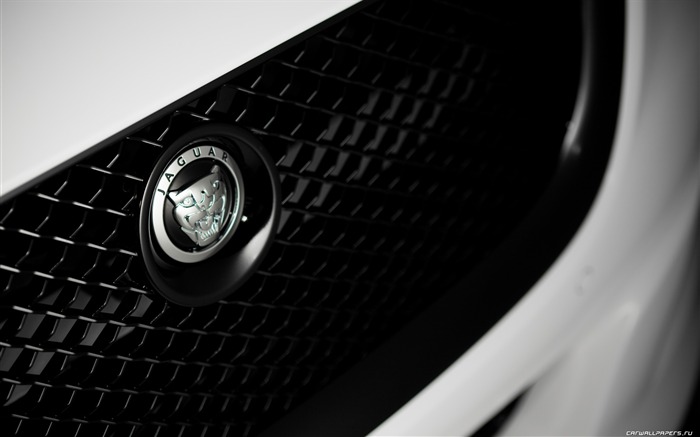 Jaguar XJ75 Platinum Concept - 2010 HD Wallpaper #3