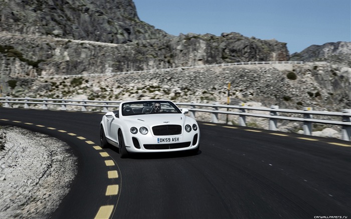 Bentley Continental Supersports Convertible - 2010 HD wallpaper #29