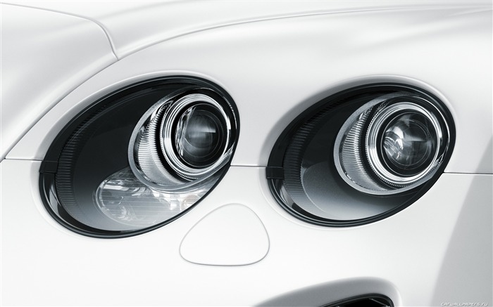 Bentley Continental Supersports Convertible - 2010 賓利 #58