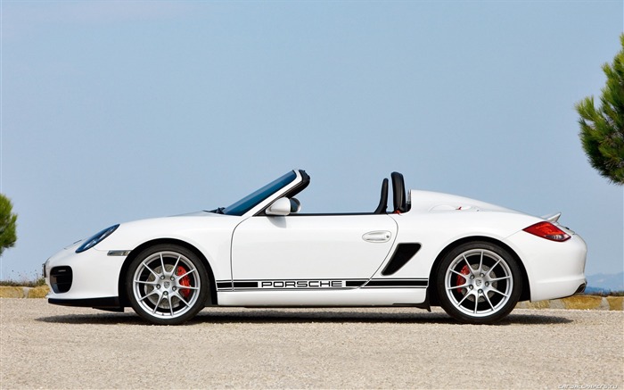 Porsche Boxster Spyder - 2010 HD wallpaper #19