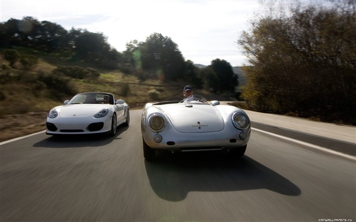 Porsche Boxster Spyder - 2010 fondos de escritorio de alta definición #26