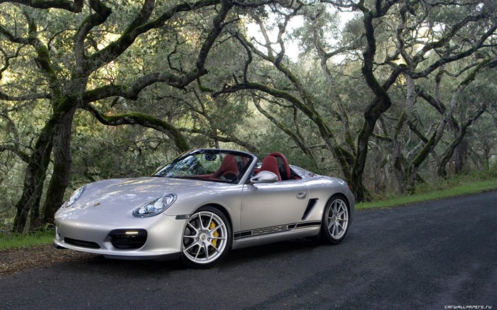 Porsche Boxster Spyder - 2010 fondos de escritorio de alta definición #36