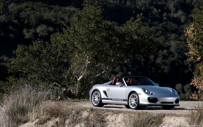 포르쉐 Boxster 스파이더 - 2010의 HD 벽지 #47